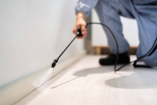 Licensed Pest Control service in Park Ridge, IL - Show Me Pest Control