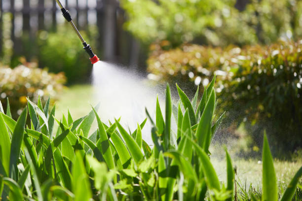 24/7 Emergency Mosquito Control experts in Park Ridge, IL