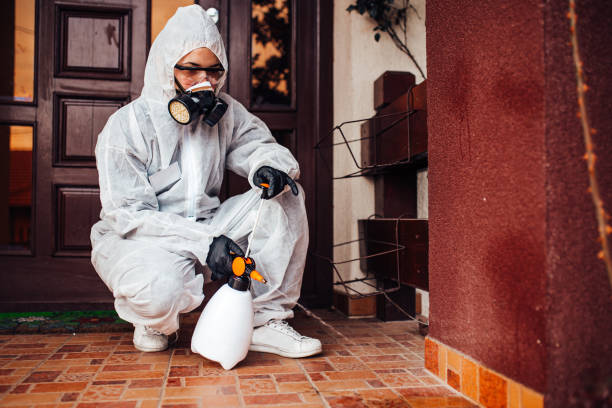 Reliable Mosquito Control contractor in Park Ridge, IL by Show Me Pest Control