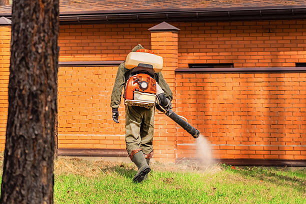 Top rated local Mosquito Control specialists in Park Ridge, IL
